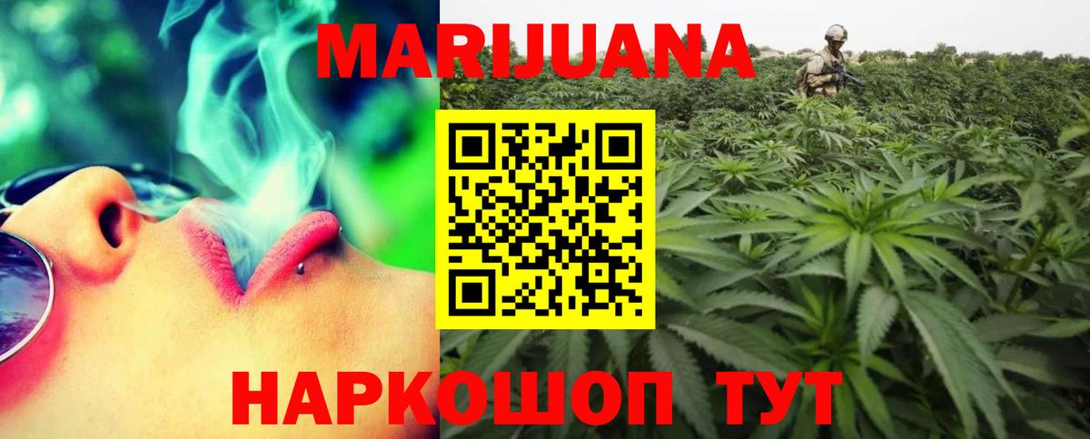 Бошки марихуана White Widow Сургут